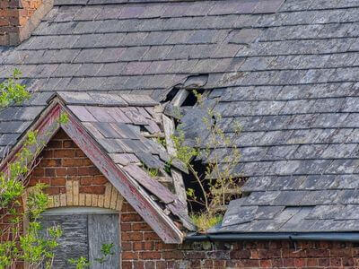 Professional Low-Flow Toilet Installation services in Longford, KS